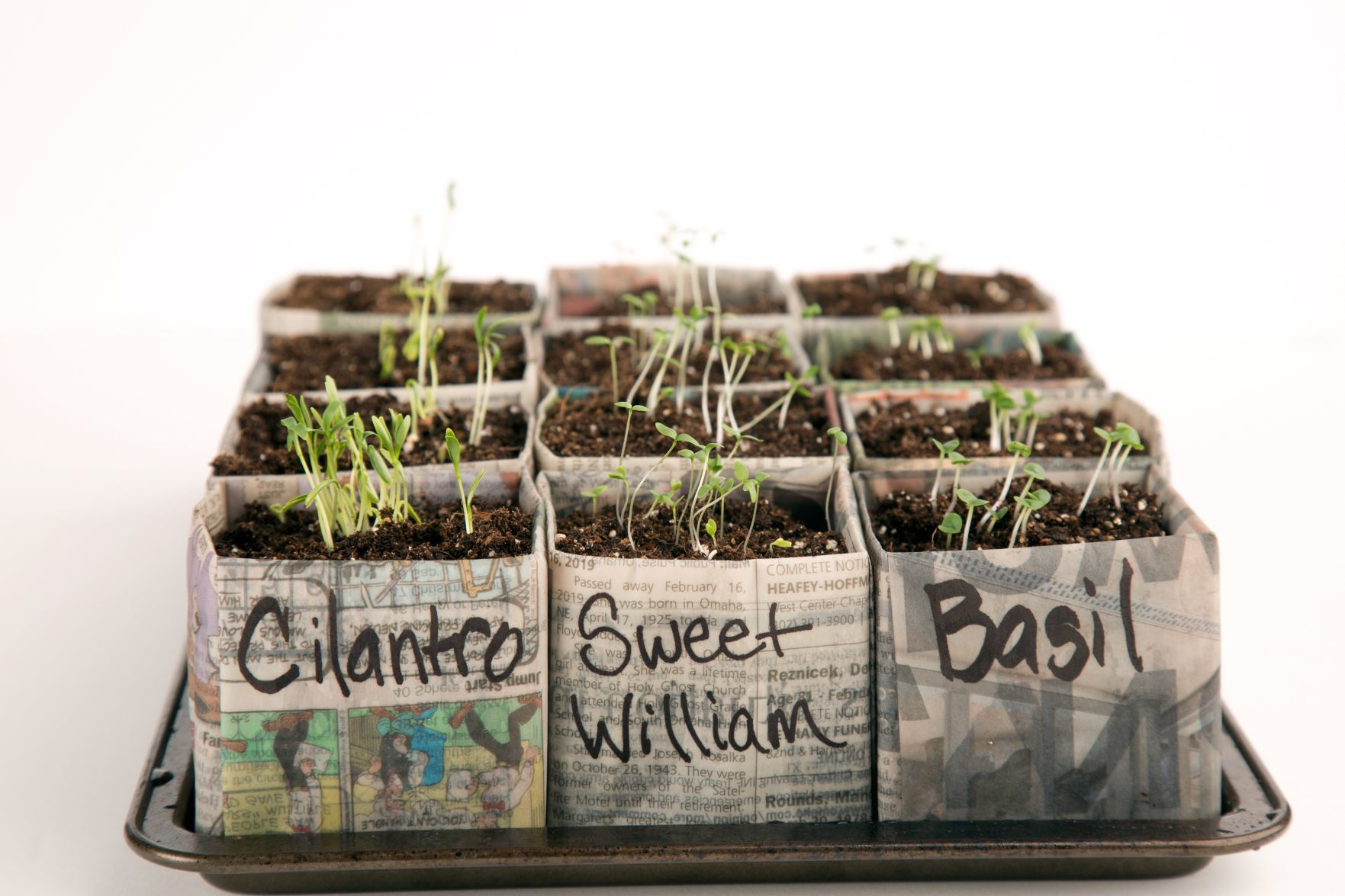DIY paper pots